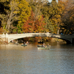 Plants: image 4 0f 4 thumb